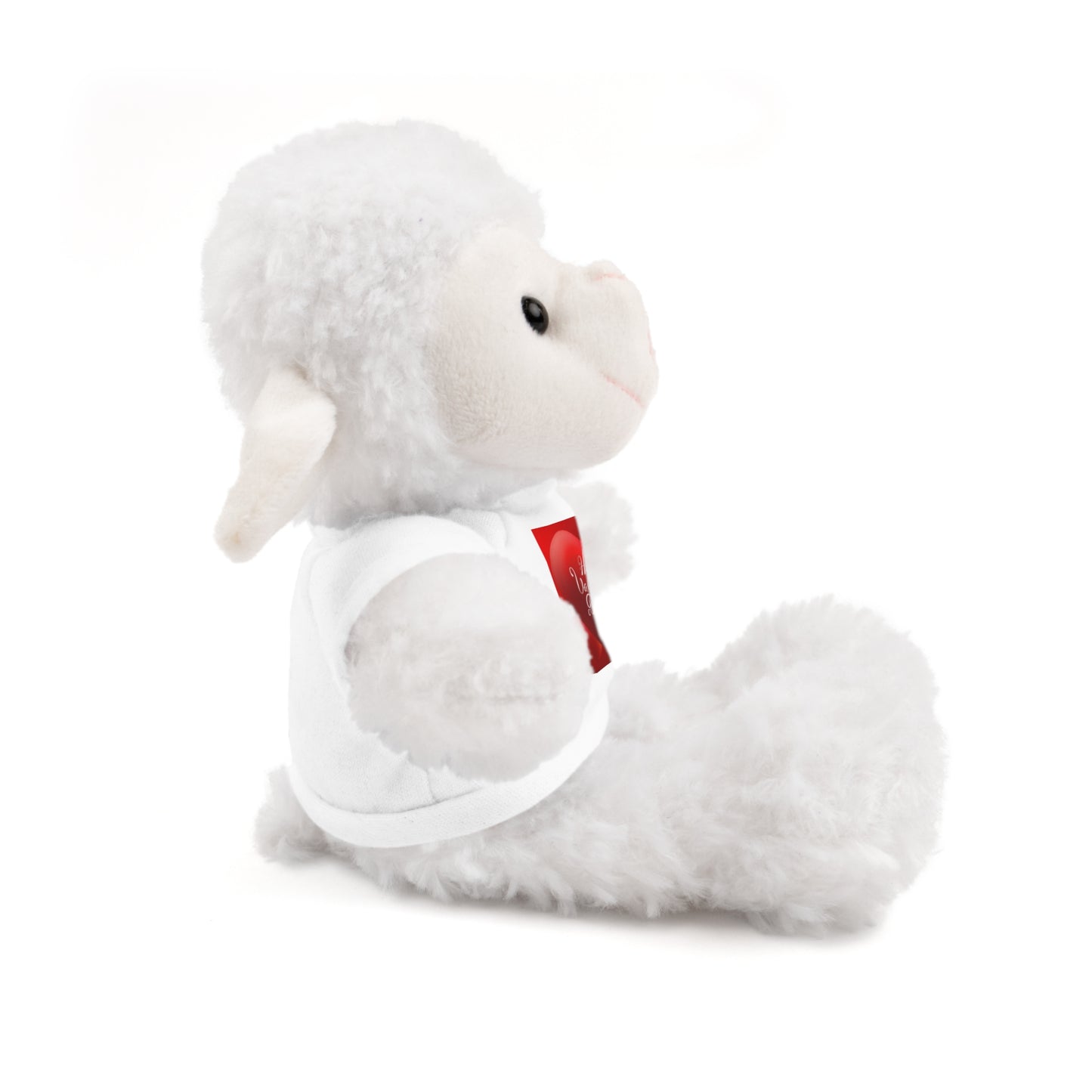 Valentine's Day Specials Stuffed Animals with Tee